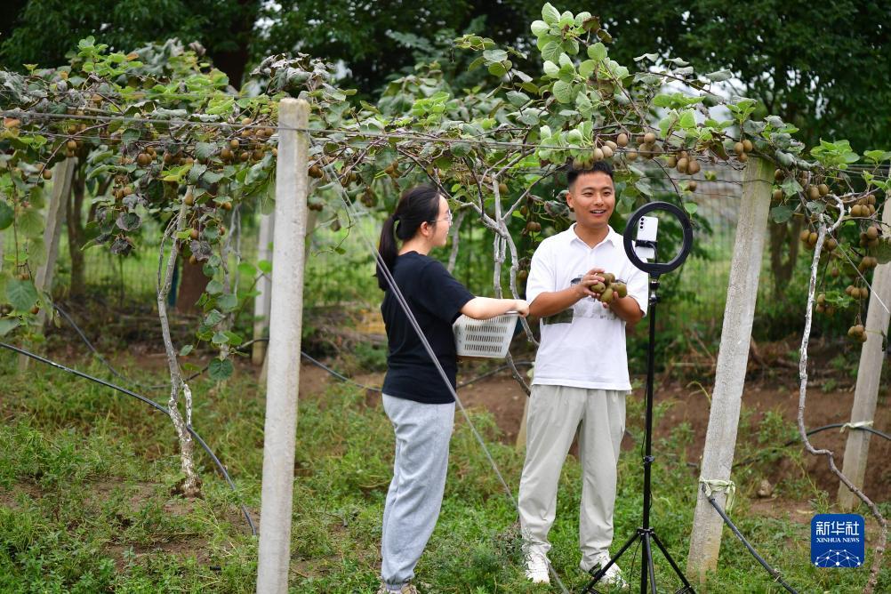 金币换现金手机游戏
